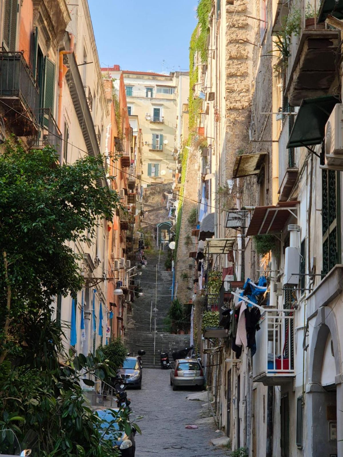 Napoletano Affittacamere Napoli